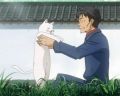 Honey and Clover