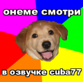 Advice dog рекомендует