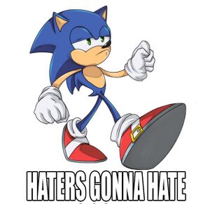 Haters gonna hate Sonic.jpg