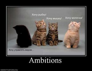 Ambitions.jpg