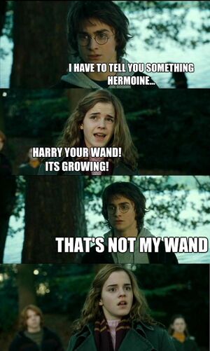 HP its not a wand.jpg