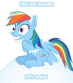 MLP 20percent 006.jpg