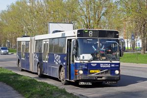 Скандинавохлам в Великом Новгороде