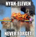 Nyan-eleven