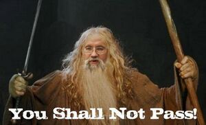 You Shall Not Pass.jpg