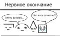 Когда сосед справа — КОрень, а слева — истеричка нерадивый студент