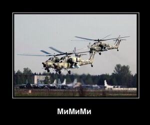 Mi-mi-mi-8.jpg