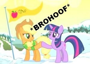 MLP Brohoof 004.jpg