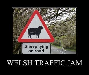 Welsh traffic jam.jpg