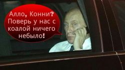 [1] Вот так выглядит ху@ло после публичной порки в Австралии. Изгой! [2] Коала в депрессии (вероятно фэйк)