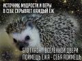 Миниатюра для версии от 21:14, 18 марта 2022