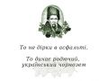 Укрошютка. Это не дыры в асфальте, это дышит плодородный украинский чернозем