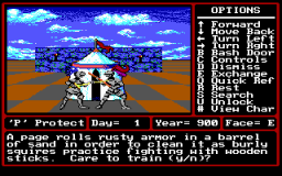 Might and Magic II (1989) на нём же. Графон похорошел ненамного