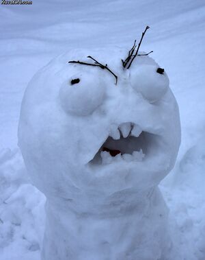 Snow rage ffffuuuuuuu.jpg