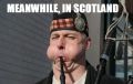 Meanwhile in Scotland