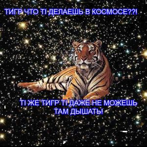 Tigor v kosmose.jpg