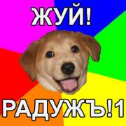 Advice dog рекомендует.