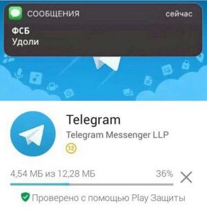 Telegram udoli.jpg