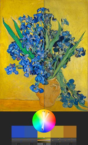 Van Gogh Iris Mod.jpg