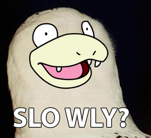 Yy Slo wly.png