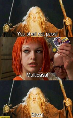 You-shall-not-pass-multipass-bitch-gandalf-fifth-element.jpg