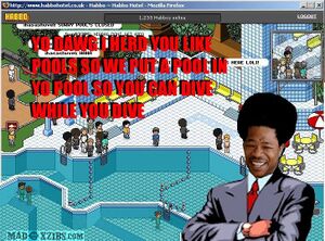 Yo dawg habbo.jpg