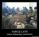 Завод Lay's