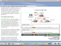 Баг во флеше CCNA.