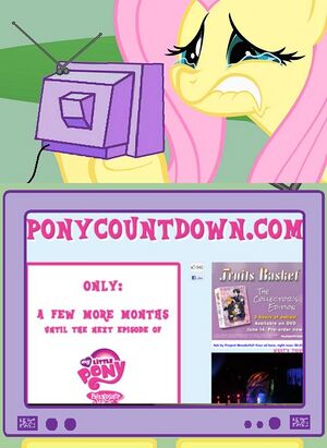 MLP TV 013.jpg