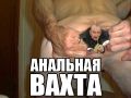 Просто Анатолий