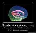 Миниатюра для версии от 21:34, 15 марта 2022