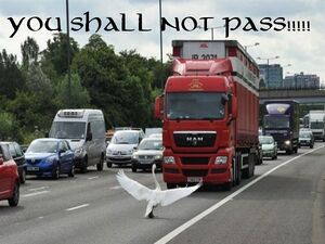 You-shall-not-pass-goose.jpg