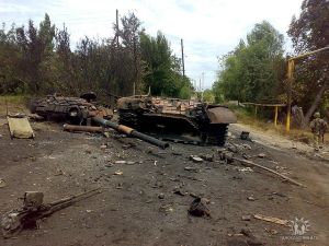 Взрыв укладки. Он смотрит на тебя грустно, и в то же время…