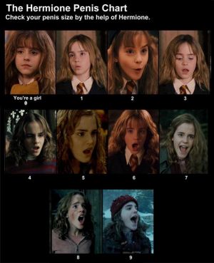 Hermione's penis chart.jpg