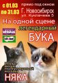 Даже котики