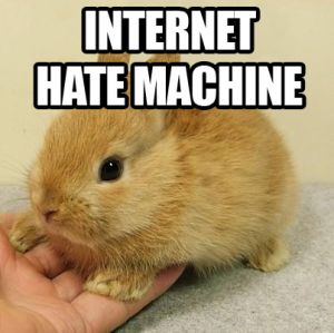 Bunnyhatemachine.jpg