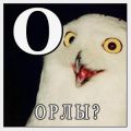 ОРЛЫ?