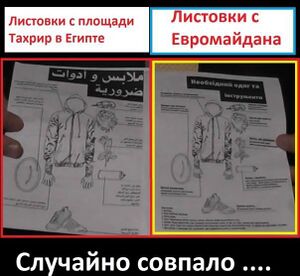 Maidan leaflets.jpg