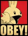 OBEY!