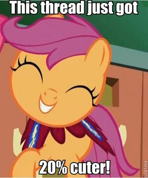 MLP 20percent 003.jpg