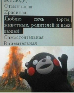 Kumamon-no commets.jpg