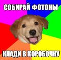 Advice dog советует